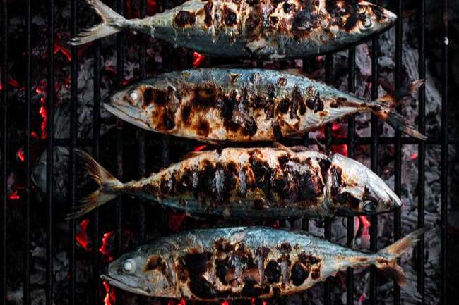 formas de comer sardinas