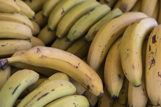 cómo madurar los plátanos