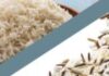 diferencias entre arroz basmati y salvaje