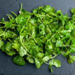 Los mejores sustitutos del cilantro