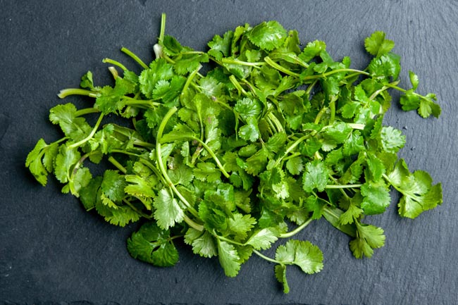 Los mejores sustitutos del cilantro