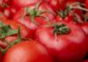 Cómo saber si un tomate está malo