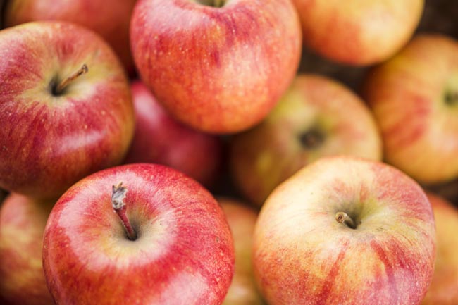 Cuál es la diferencia entre las manzanas Gala y las manzanas Honeycrisp