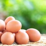 ¿Qué pasa cuando congelas huevos con cáscara?
