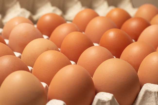 Distintos métodos de conservar los huevos de una forma segura