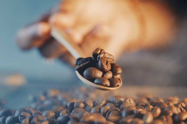 Café molido o café en grano, ¿Cuál hace el mejor café?