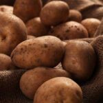 Diferencias entre las patatas Rojas y las patatas Russet