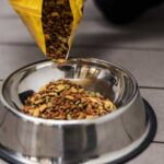 Cómo limpiar cuencos de comida de perros